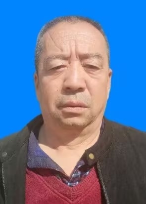 ¸